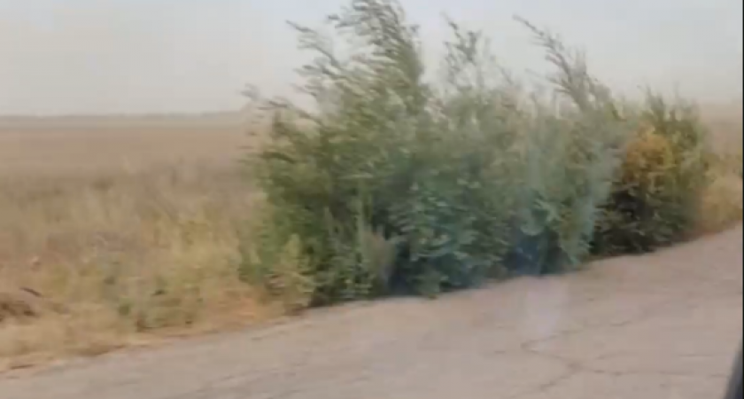 Пылевая буря надвигается на Волгоград