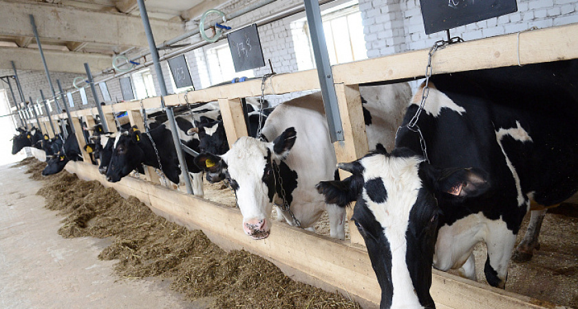 Волгоградцы снова отправили продукцию в Казахстан