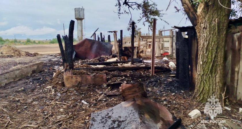 Два теленка погибли при пожаре в хозпостройке в Волгоградской области