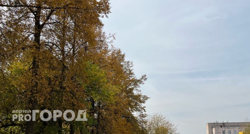 Погода в Волгограде на выходные: тепло, но пасмурно