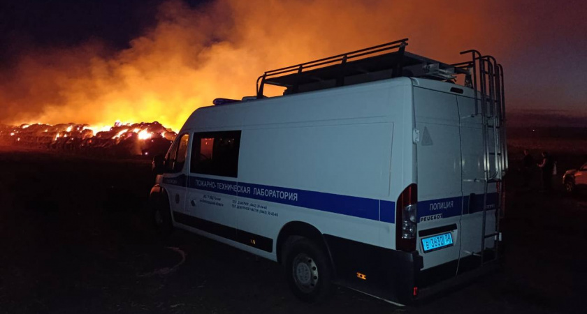 Двух парней задержали в Волгоградской области по подозрению в поджоге сена 