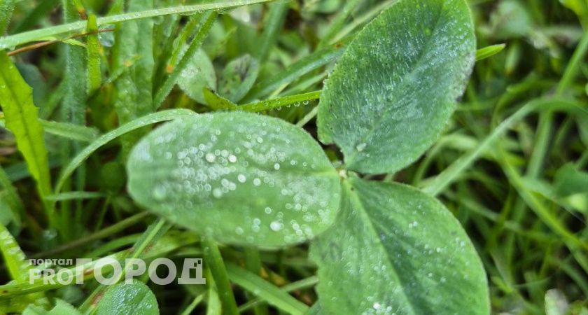Волгоградцев предупредили о заморозках