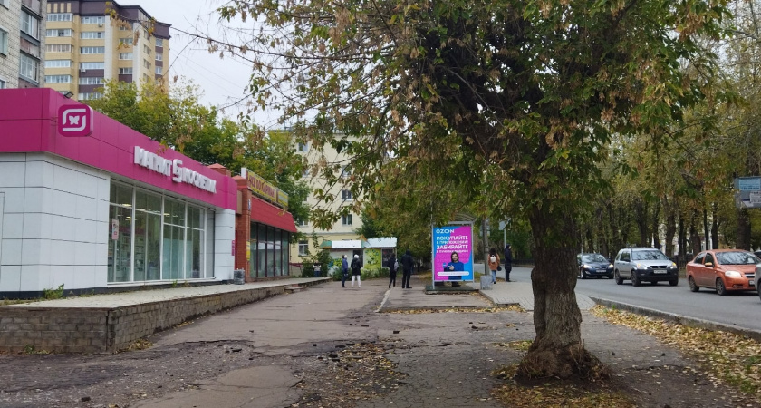 «Магнит Косметик» на высоте: нашла кондиционер для белья всего за 89 рублей и кружку за 199 - завтра возьму пакет побольше