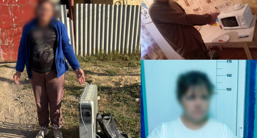 В Волгоградской области задержали подозреваемых в краже бытовой техники
