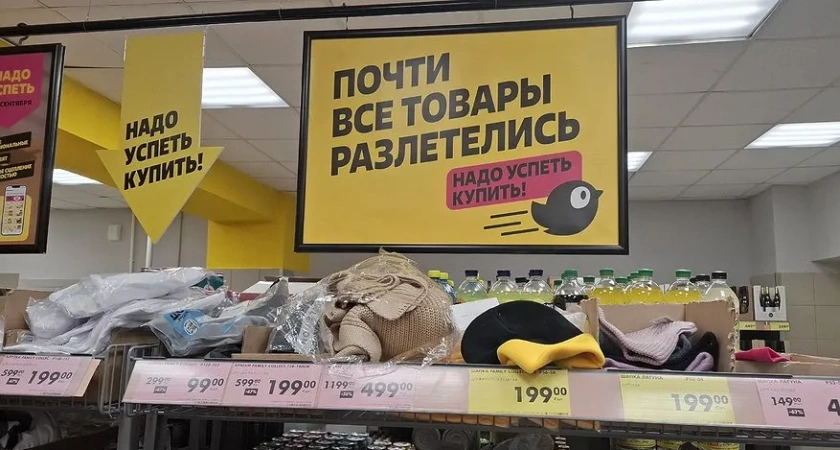 Секретные сокровища «Чижика»: эти товары стоят сущие гроши, а выглядят как премиум - мой топ находок