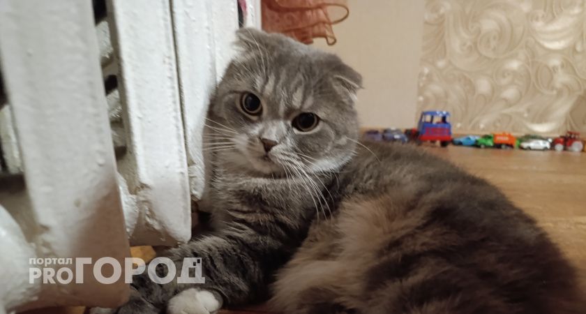 Волгоградцам объяснили, почему за октябрь у них будут разные счета за отопление