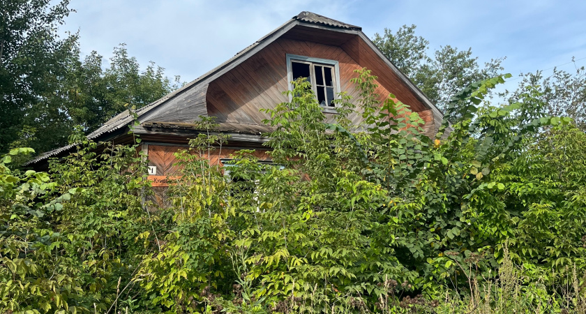 Переехали жить в село - через год сообразили, почему в деревнях больше не живут сельским хозяйством - истина была на виду