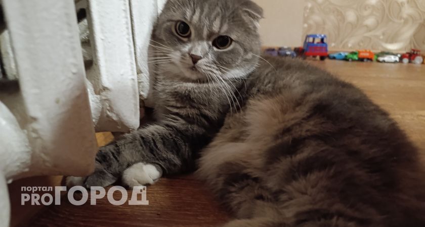 14 муниципалитетов Волгоградской области уже получают тепло