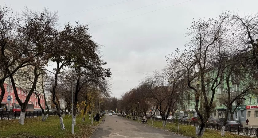 Прогноз погоды в Волгограде на воскресенье, 12 октября