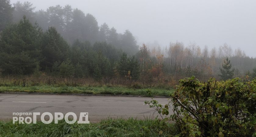 Туманы и дожди продолжат накрывать Волгоградскую область