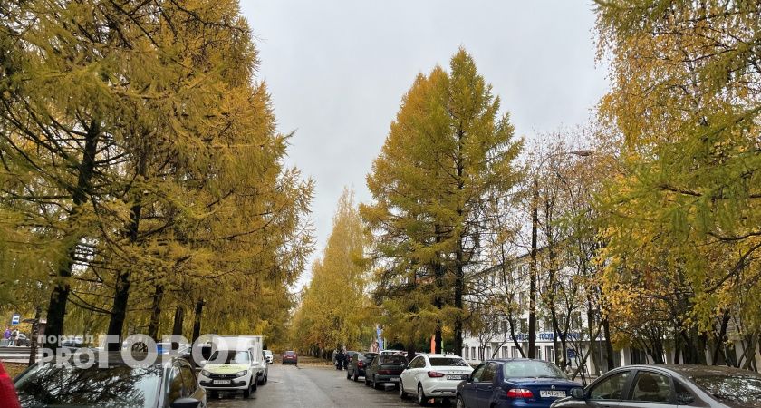 Пасмурную и дождливую среду пообещали волгоградцам