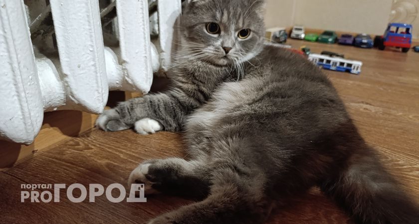 В Волгограде ужесточат штрафы за срыв подготовки к холодам