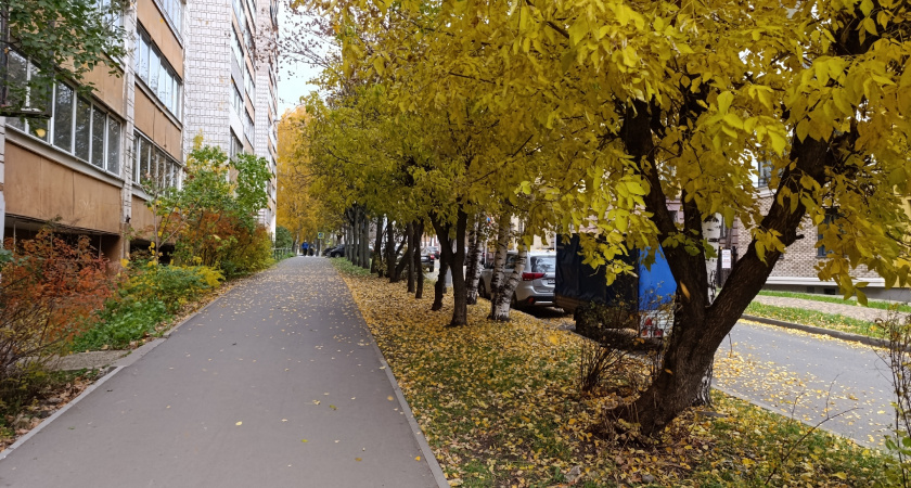 Прогноз погоды в Волгограде на понедельник, 27 октября