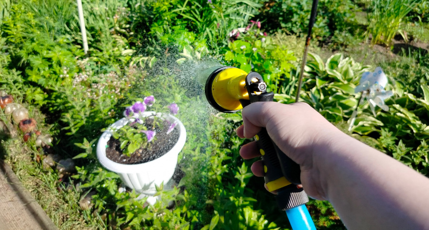 "Стоп" навоз: 5 природных замен, которые кормят землю лучше и не оставляют запаха - внесите в конце октября и огород не узнаете