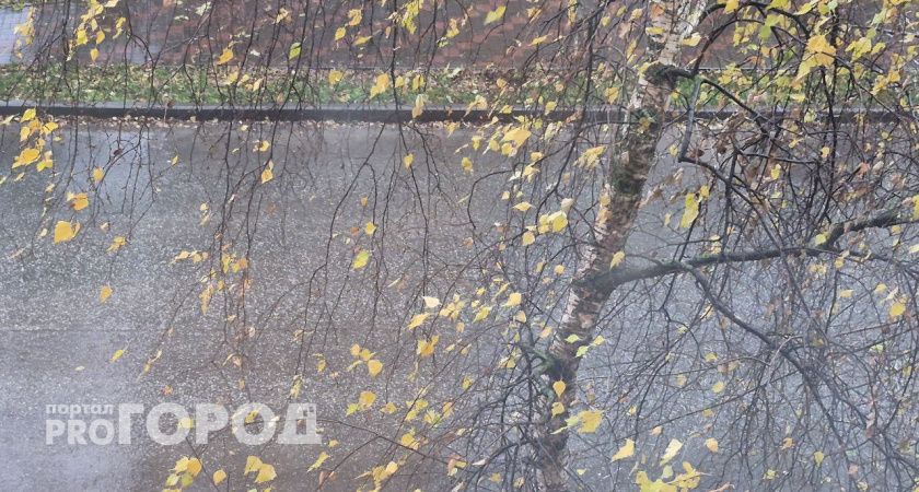 Прогноз погоды в Волгограде на 29 октября: дожди, туманы и влажность до 94%