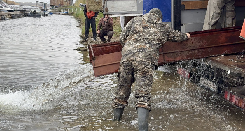 В Ахтубу выпустили 20 тысяч мальков сазанов: Волжский водоканал провёл экологическую акцию