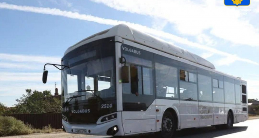 Сезон закрывается: в Волгограде объявили график последних рейсов к садовым участкам