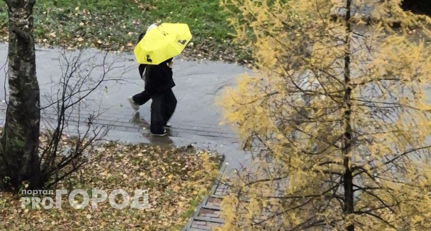 Дожди с туманами продолжают господствовать в Волгоградской области
