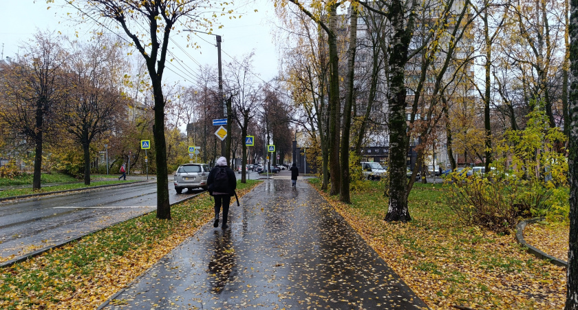 Хорошие новости «выбьют двери»: только у 1 знака Зодиака все круто поменяется после 30 октября 2025 года — пришло время жить на полную