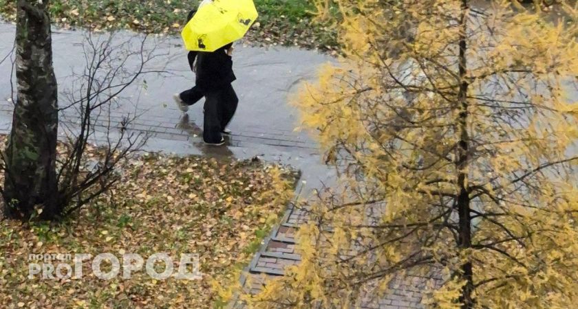 Прогноз погоды в Волгограде на воскресенье, 2 ноября