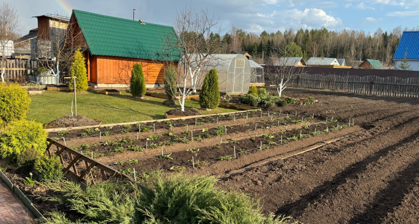 За зиму перегниют и толстенные ветки, и ботва: вот как я ускоряю компост - на заметку каждому дачнику