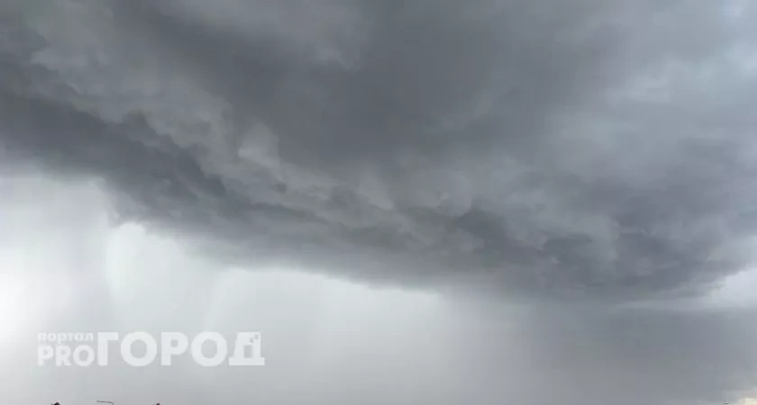 Воздух станет «вредным»: ученые предупредили о пыльной буре в Волгоградской области