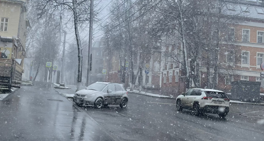 Январские морозы скуют Центральную Россию раньше срока: Роман Вильфанд назвал точные даты