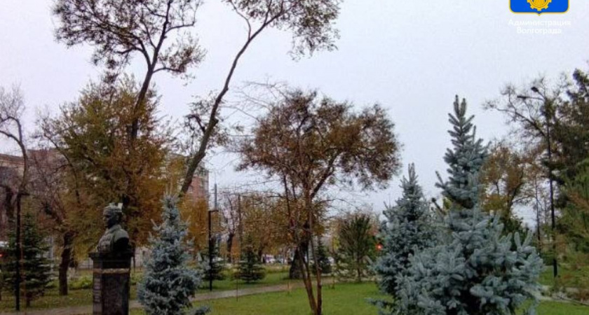Городской сад Волгограда пополнился 300 новыми деревьями и кустарниками