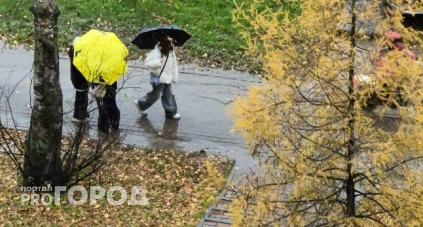 13 ноября в некоторых районах Волгоградской области потеплеет до +16