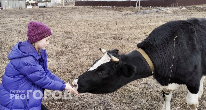Волгоградская область отгрузила 13,4 тыс. тонн кормов в регионы России