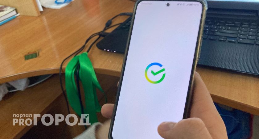 В Волгограде мошенники под видом силовиков опустошили счет доверчивой горожанки