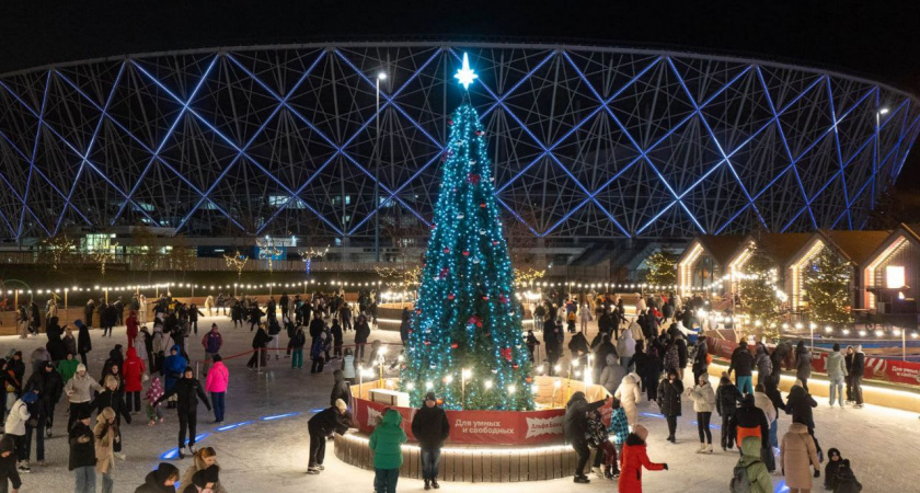 В ЦПКиО Волгограда устанавливают новогоднюю ель на катке
