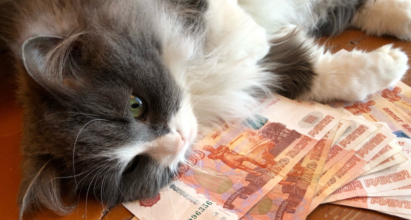 Жительница Волгограда лишилась 2,5 млн рублей при покупке автомобиля