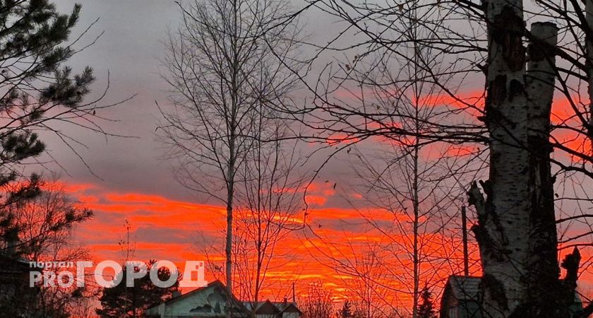 Магнитная буря в Волгограде не успокоится до вечера 26 ноября