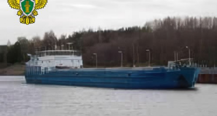 Сухогруз с двумя тысячами тонн зерна сел на мель в Карповском водохранилище