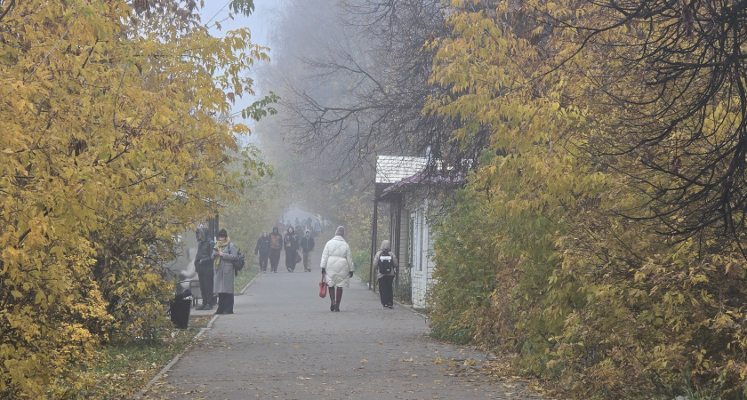 В Волгограде прогнозируют туман и гололед в воскресенье, 30 ноября 