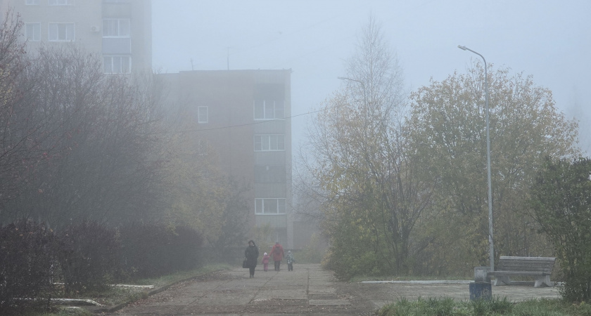 В Волгоградской области объявили два желтых уровня погодной опасности
