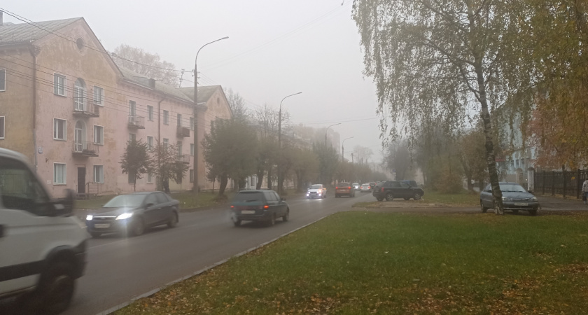 Изморозь и туман прогнозируют синоптики в Волгограде 1 декабря 