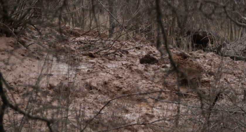 Суд взыскал с волгоградской компании  167 миллионов за загрязнение почвы нефтью