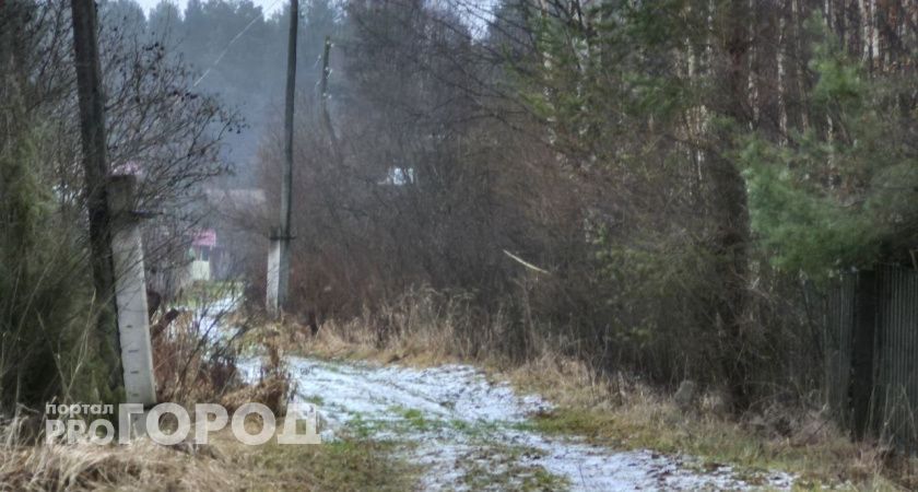Декабрь в Волгоградской области будет аномально теплым  