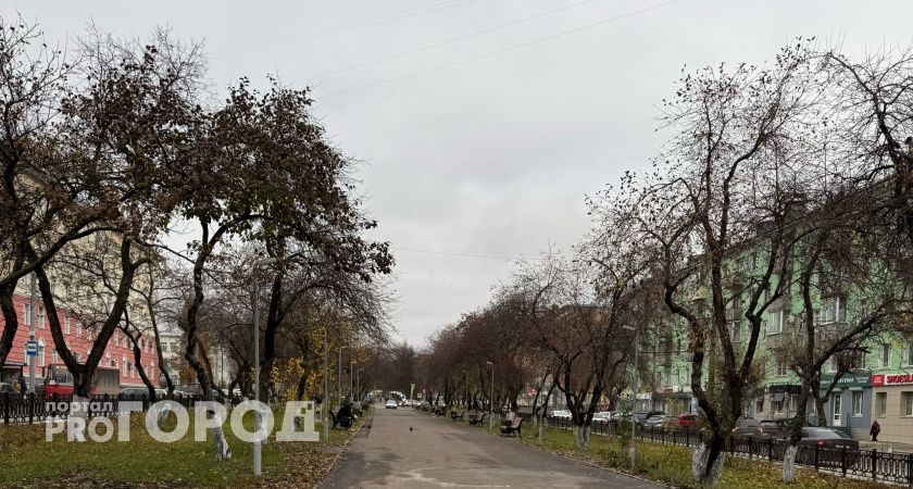 2 декабря в Волгограде будет по-осеннему туманным и пасмурным