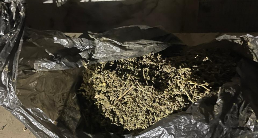 В Дубовском районе задержали мужчину с полкило марихуаны