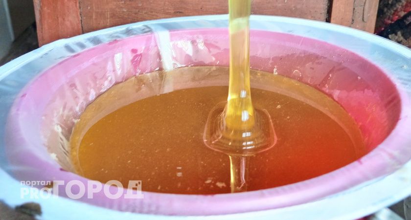 350 кг мёда с волгоградской пасеки забраковали и не пустили в продажу 