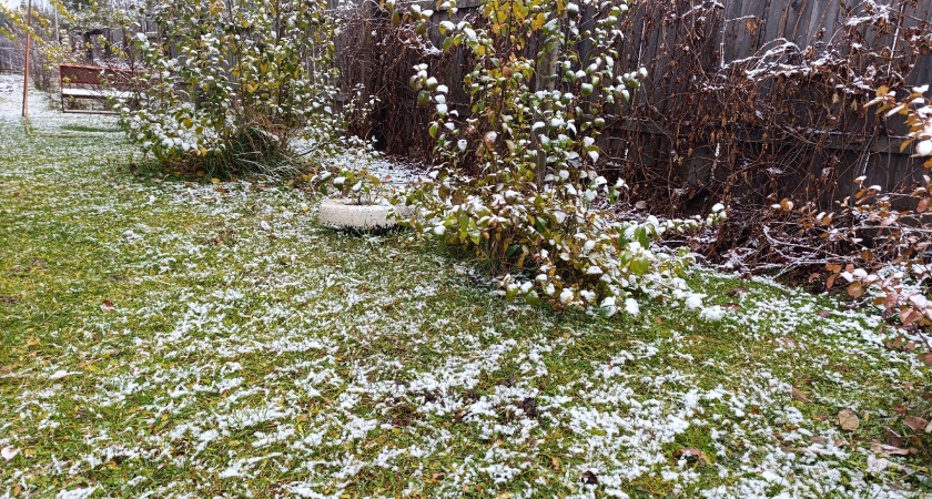В Волгограде из-за гололеда объявлен желтый уровень погодной опасности