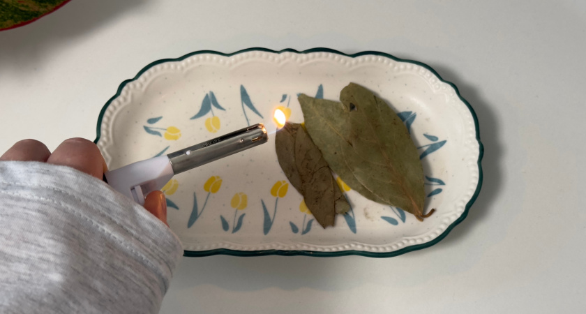 Дома вечерами всегда поджигаю лавровый лист: хитрость предков помогает до сих пор