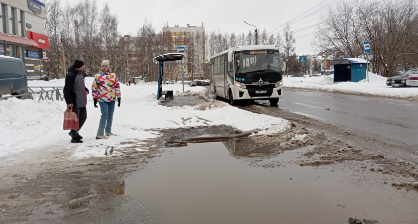 Инспектор ГАИ поставил точку: можно ли останавливаться на автобусной остановке, чтобы высадить пассажира