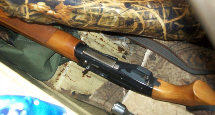 Волгоградским браконьерам грозит колония за отстрел самки кабана