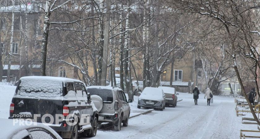 Синоптики предупредили о неустойчивой погоде в Волгоградской области 11 декабря