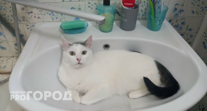 В Волгограде дома в двух районах останутся без воды из-за подключения поселка к сетям