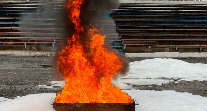 С жителя Волгоградской области взыскали 400 тысяч рублей за уничтожение лесных насаждений